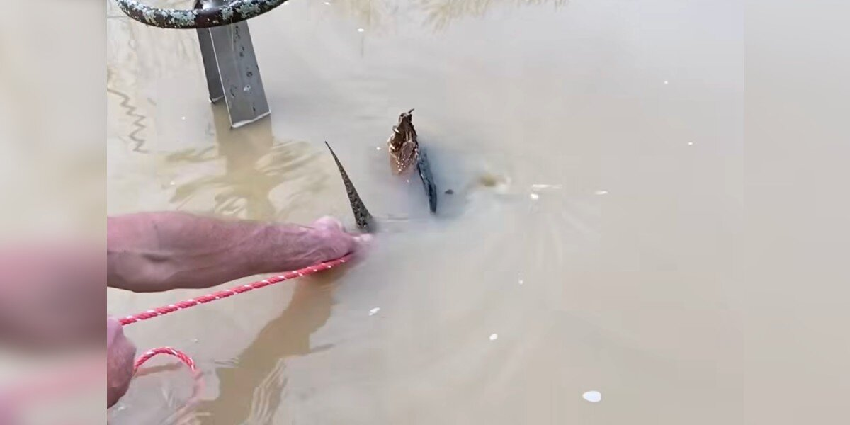 Dad Spots ‘Dangerous’ Animal Trapped In Drain — And Refuses To Walk Away