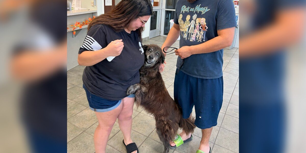 Shelter Staff Holds Back Tears As Lost Dog Leaps Into Mom’s Arms