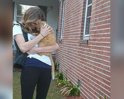Cat Leaps Into Mom’s Arms After 536 Days Missing