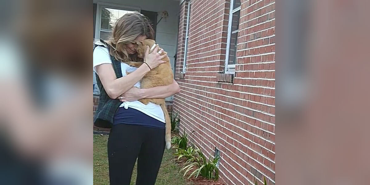 Cat Leaps Into Mom’s Arms After 536 Days Missing