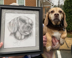 Senior Dog Arrives At Shelter With All Her Belongings — Even A Portrait