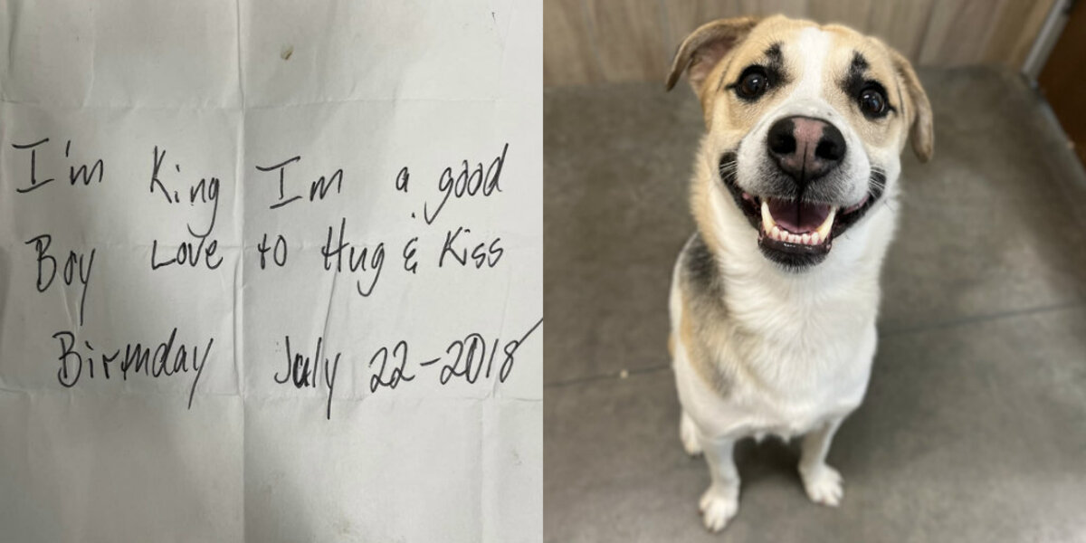 Dog Left Outside Burger King With Heartbreaking Note Finally Reunites With Mom