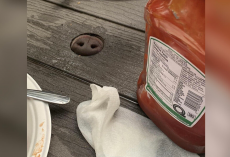 Friends Sit Down for Dinner — And Realize Someone Unexpected Is at the Table