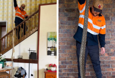 Discovery Of Giant Snake Skin In Attic Leads To An Even Bigger Surprise