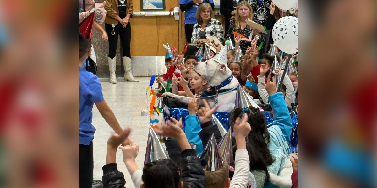 Schoolchildren Throw The Sweetest Birthday Party For Their Deaf Therapy Dog