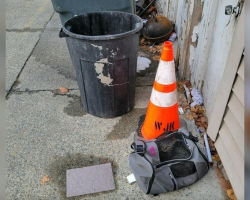 Duffel Bag Dumped Near Trash Reveals a Precious Surprise