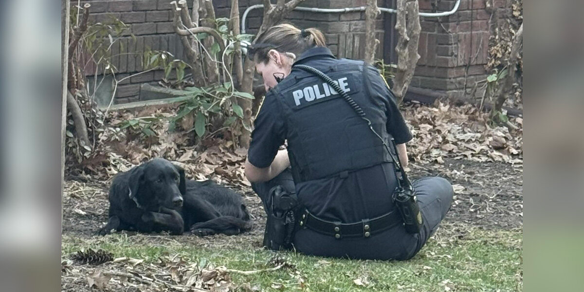 Terrified Dog Refused Help For Days — Until One Woman’s Kindness Changed Everything