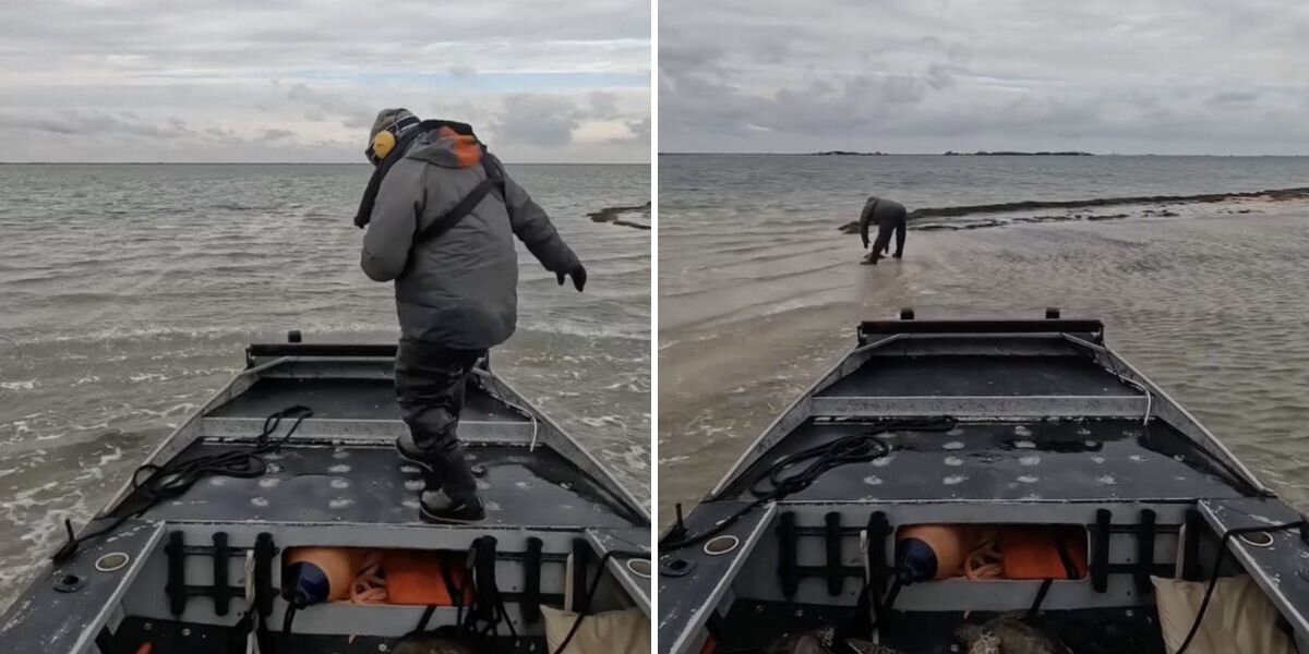Man Sees Something Strange in the Waves — and Ends Up Saving Hundreds of Sea Turtles