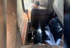Dog Found In Trash Compactor Just Wanted Someone To Love Him