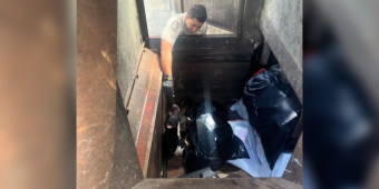 Dog Found In Trash Compactor Just Wanted Someone To Love Him