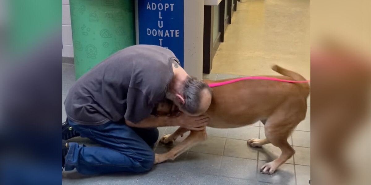 Cancer Survivor Reunites With Beloved Dog After Years Apart
