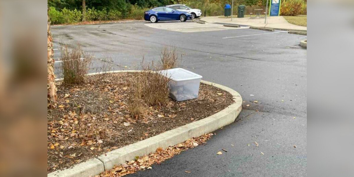 Friends Find Plastic Box In Park — With A Whole Family Inside