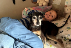 Family Adopts Dog Who Looks Just Like Their Late Pup — And Learns He’s Actually Family