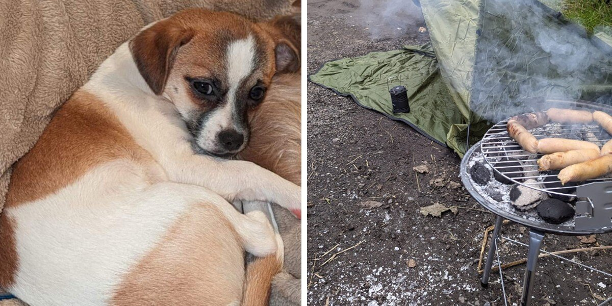 Couple Camps In Woods For 5 Nights, Grilling Sausages To Lure Back Their Lost Dog