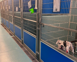 Dog Left Behind After Adoption Event Finally Finds His Perfect Match