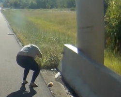 Driver Pulls Over For ‘Dead’ Body — Then Sees a Tiny Paw Move