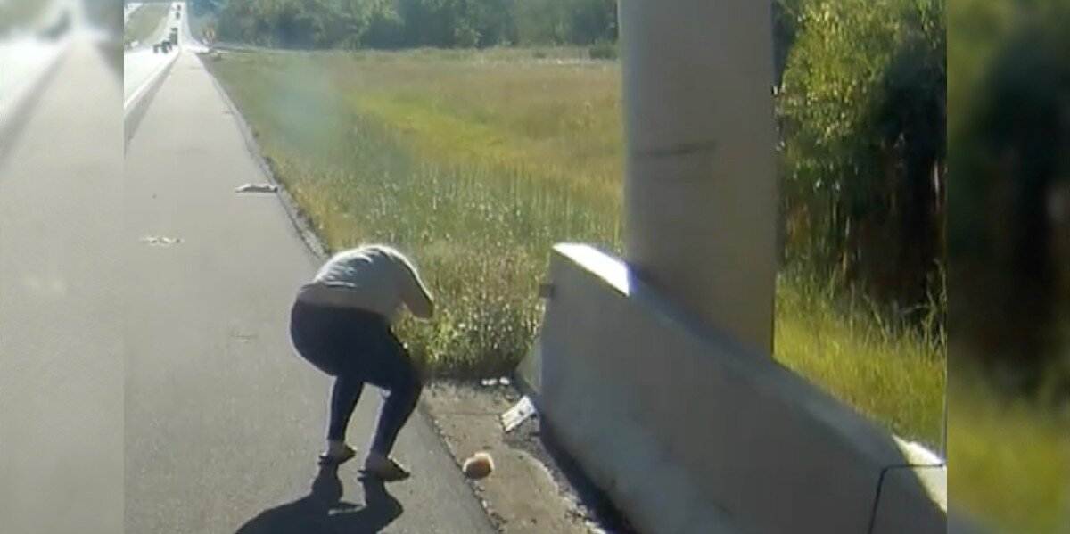 Driver Pulls Over For ‘Dead’ Body — Then Sees a Tiny Paw Move