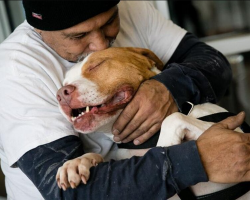 Dog Leaps Into Dad’s Arms After He Comes Back To Shelter To Save Him