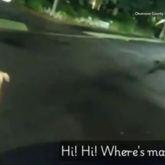 Loyal Dog Leads Deputy Straight to Injured Grandma After She Falls