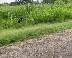 Rescuers Slam On The Brakes When They Spot Someone ‘Shaking’ Next To Highway