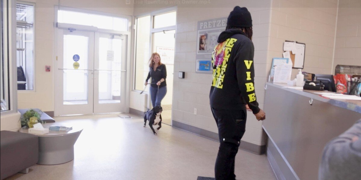 Man Walks Past Shelter — Then Stops Cold When He Recognizes the Dog in the Yard