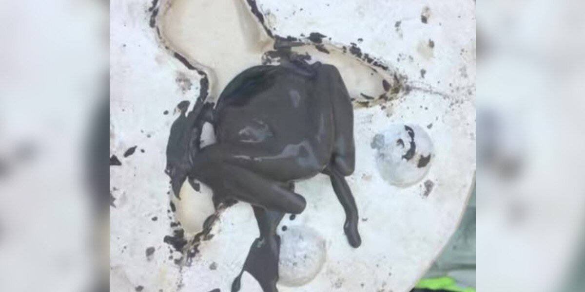 Ceramic Artist Spots Something Stuck In His Mold — Then Realizes They’re Tiny Legs