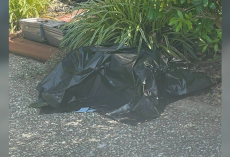 Woman Lifts a Black Plastic Bag — And Discovers a Precious Life Struggling to Breathe
