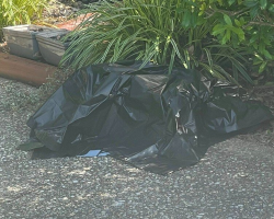 Woman Lifts a Black Plastic Bag — And Discovers a Precious Life Struggling to Breathe