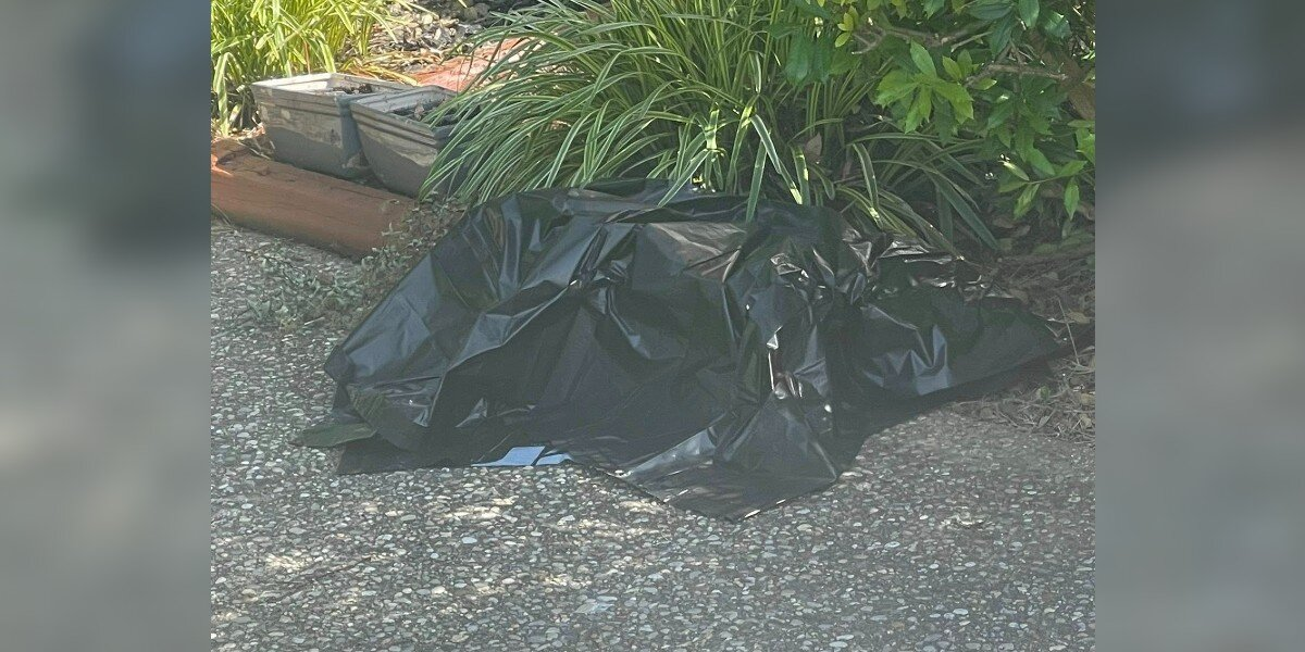 Woman Lifts a Black Plastic Bag — And Discovers a Precious Life Struggling to Breathe