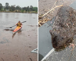 Woman Spots Brown Lump in Pond — Then Realizes It’s Drowning