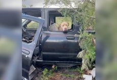Dog Found Waiting in Abandoned Car — Ready for a Fresh Start