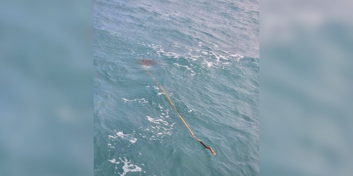 Kite Surfer Notices a Stick in the Waves — Then Realizes Someone’s Trapped at the End