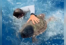 Crew Spots ‘Floating Trash’ In The Ocean — Then Realizes It’s Alive