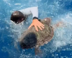Crew Spots ‘Floating Trash’ In The Ocean — Then Realizes It’s Alive