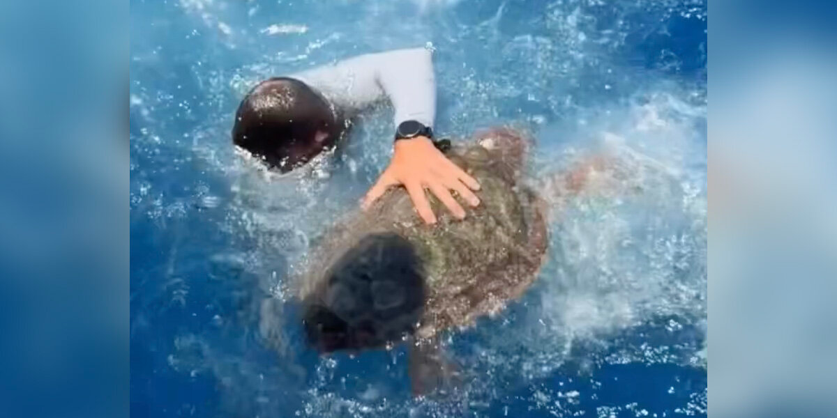 Crew Spots ‘Floating Trash’ In The Ocean — Then Realizes It’s Alive