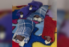 These Wild Babies Are Snuggled In Tiny Sleeping Bags — For The Sweetest Reason