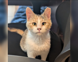 She Was Kicked Out Of The Library She Loved — But Her Story Isn’t Over Yet