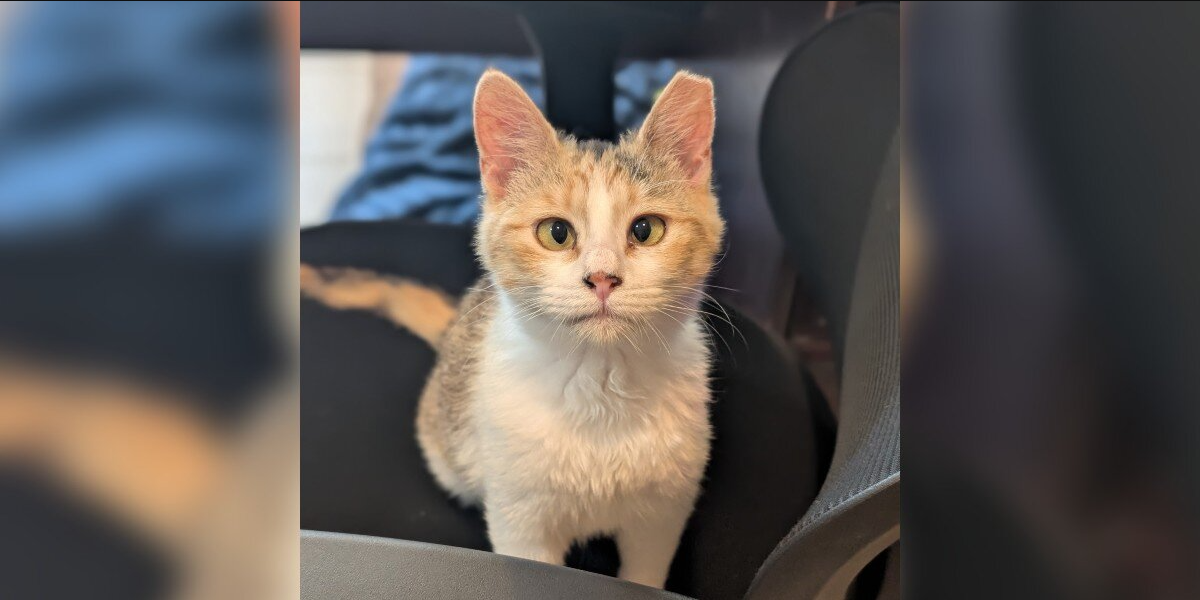 She Was Kicked Out Of The Library She Loved — But Her Story Isn’t Over Yet