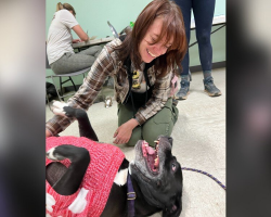 Longtime Shelter Pup Freaks Out With Joy at Her Goodbye Party