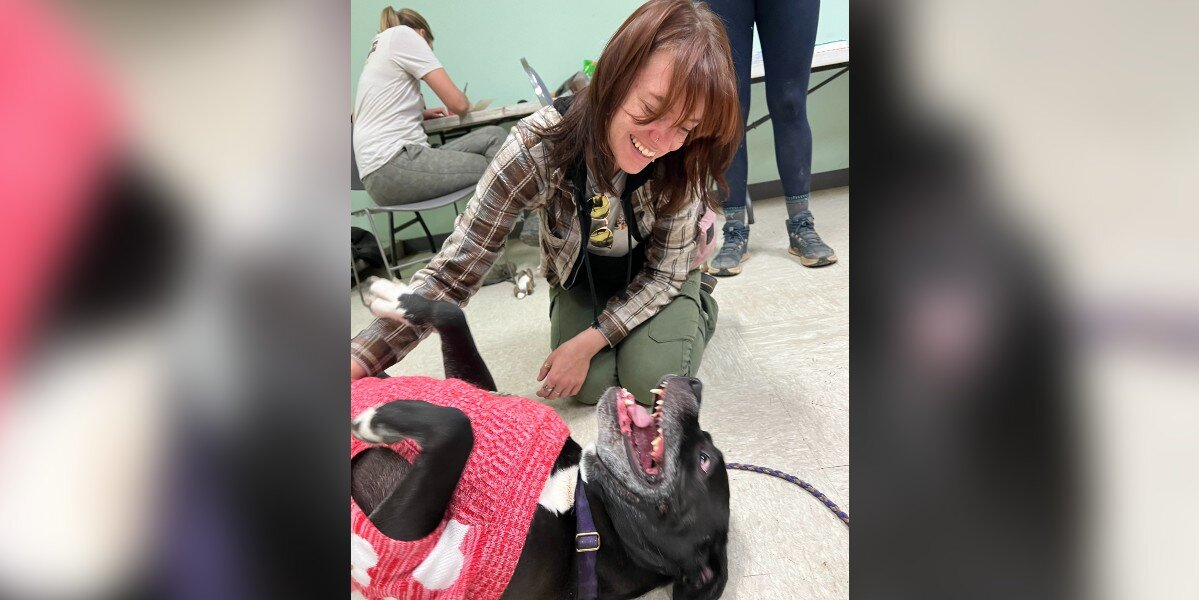 Longtime Shelter Pup Freaks Out With Joy at Her Goodbye Party
