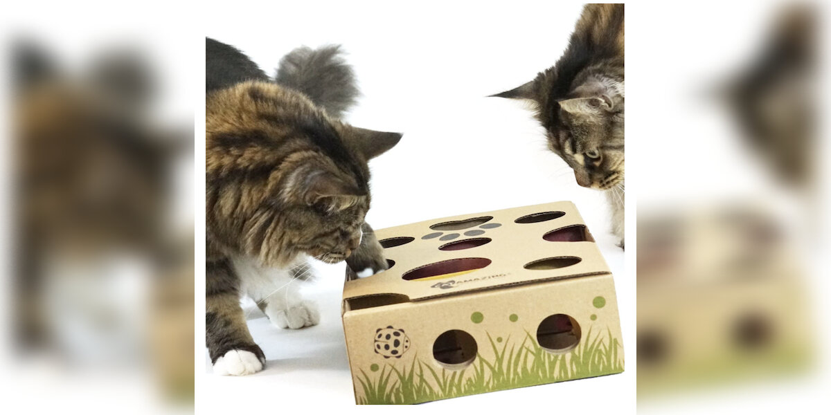 11 Interactive Cat Toys That Keep Your Kitty Busy (Even When You’re Not Playing)