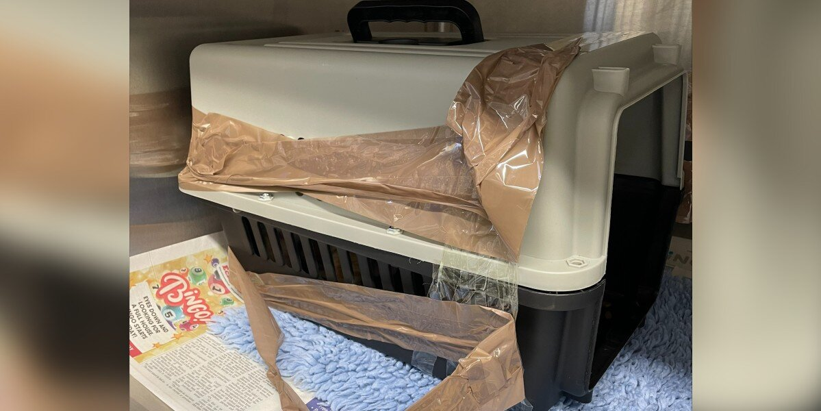 Taped-Up Pet Carrier Tossed Over Fence Holds The Sweetest Surprise Inside