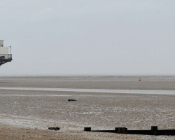 Rescuers Rush To Save ‘Stranded Seal’ On Beach — Then Burst Out Laughing When They See What It Is