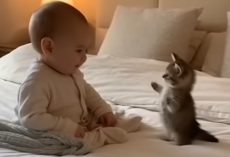 The Lovely Friendship Between a Cat and a Baby Is Melting The Internet’s Heart