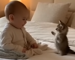 The Lovely Friendship Between a Cat and a Baby Is Melting The Internet’s Heart