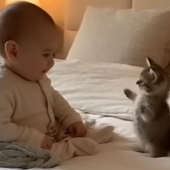 The Lovely Friendship Between a Cat and a Baby Is Melting The Internet’s Heart