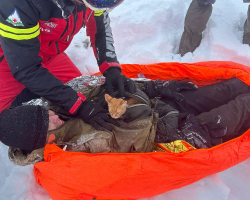 ‘Miracle’ Kitten Refuses To Leave Her Human — And Ends Up Saving His Life