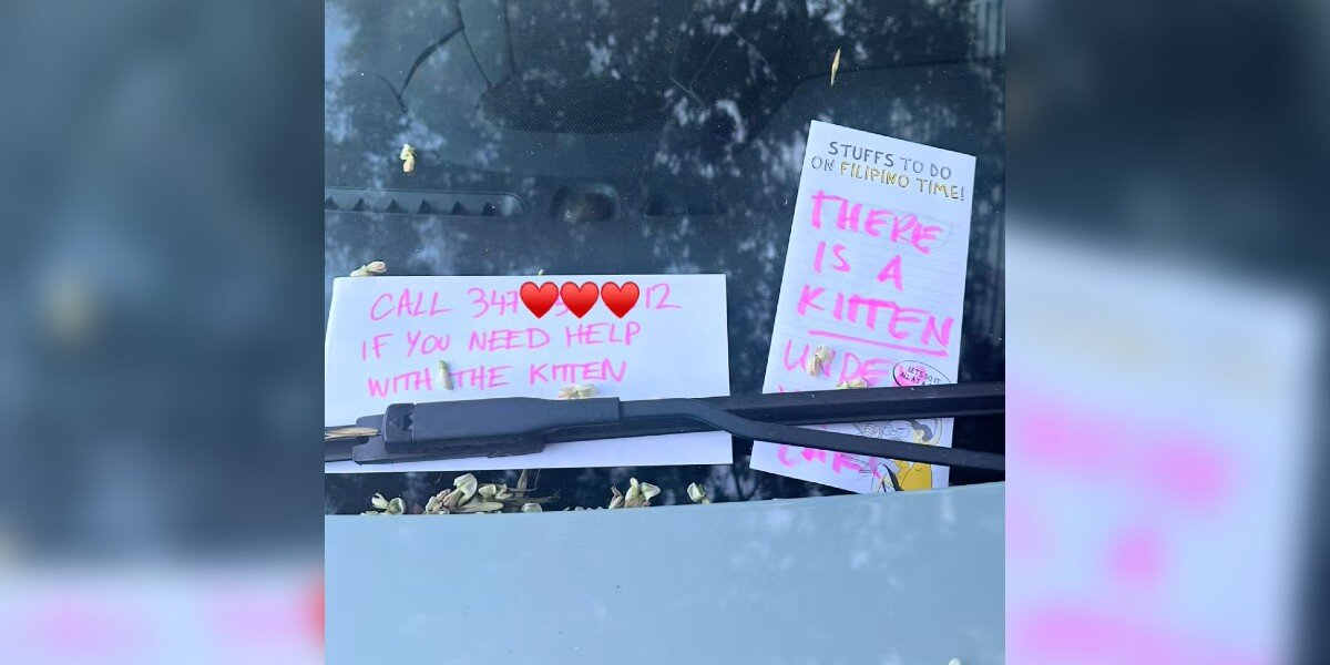 Woman Finds Mysterious Notes All Over Her Car — And Discovers A Kitten In Need