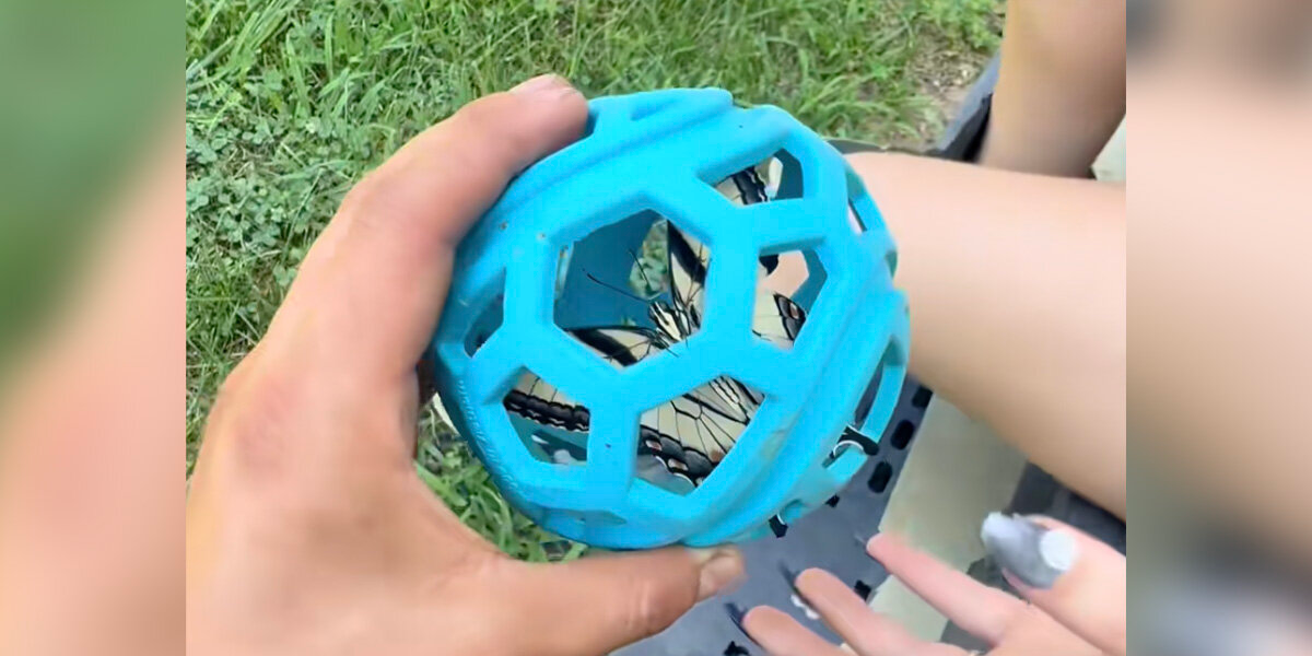 Woman Grabs Her Dog’s Old Ball — And Finds Something Stunning Inside
