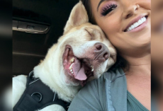 Dog Minutes From Euthanasia Can’t Stop Smiling When He Realizes He’s Finally Safe